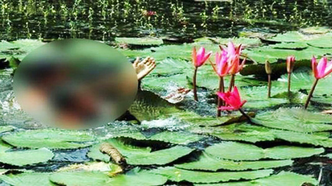 শাপলা তুলতে গিয়ে নদীতে ডুবে একই পরিবারের ৩ জনের মৃত্যু