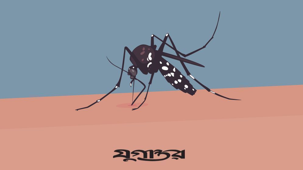 ডেঙ্গুতে আরও ২ জনের মৃত্যু