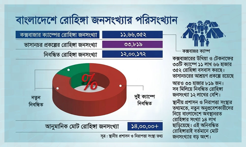 ৯ বছরে একজন রোহিঙ্গাও ফেরত যায়নি