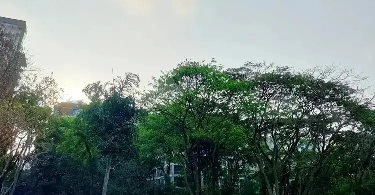 বায়ুদূষণের শীর্ষে আজ দিল্লি, ঢাকা ২০ নম্বরে