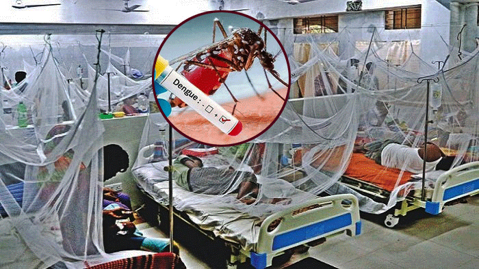 ডেঙ্গুতে আরও ৭ জনের মৃত্যু, হাসপাতালে ভর্তি ১,৩৭৩
